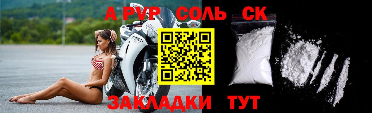 A PVP СК КРИС Апшеронск