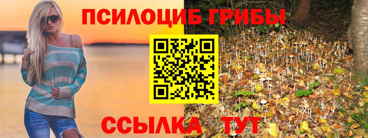 Апшеронск  Псилоцибиновые грибы GOLDEN TEACHER  Псилоцибиновые грибы Magic Shrooms  Вход с VPN 